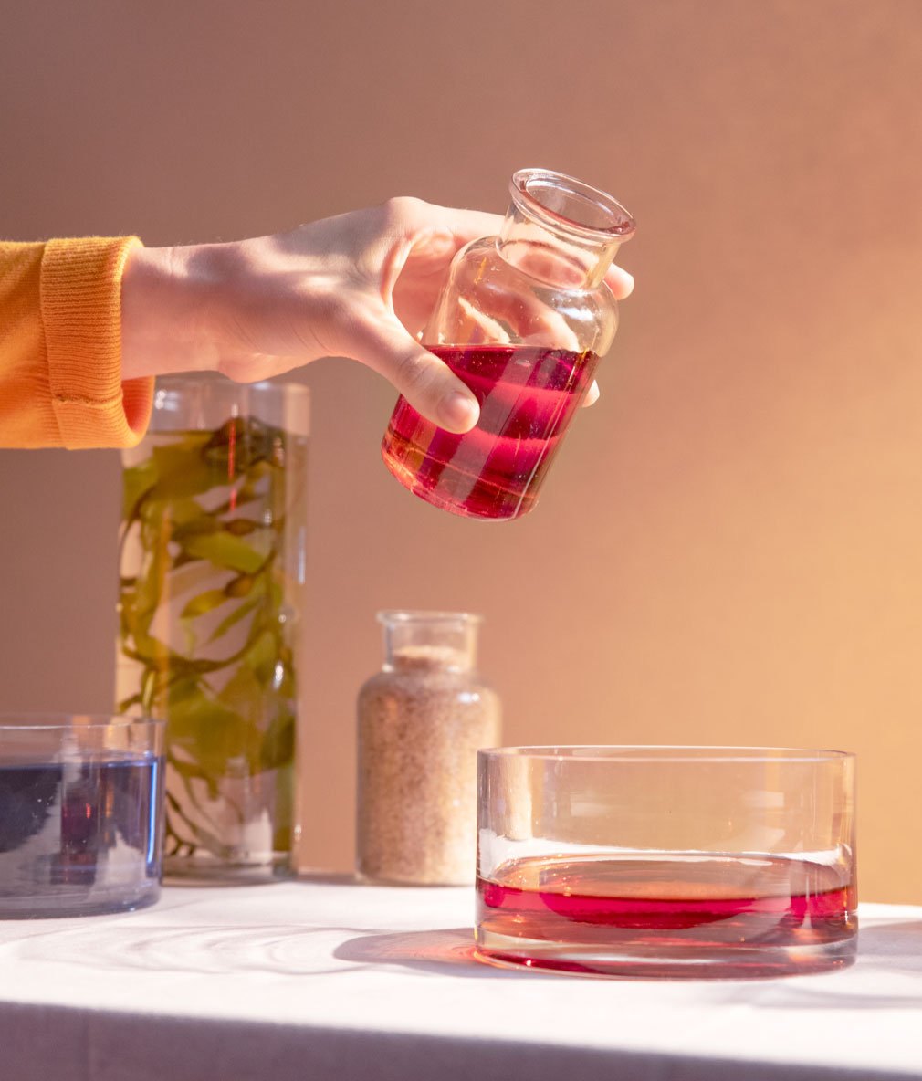 Seaweed-Bioplastic-Experiment