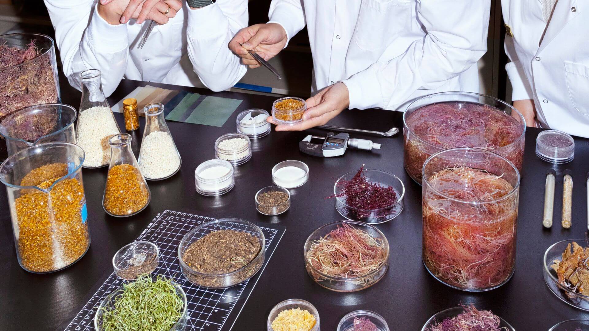 Sway_TPSea-Resin_Seaweed_1