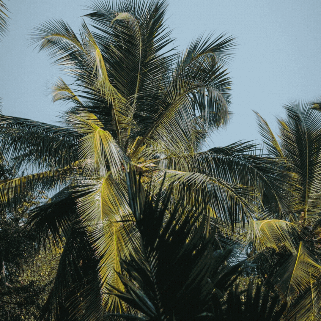 Alex Crane renewable natural materials