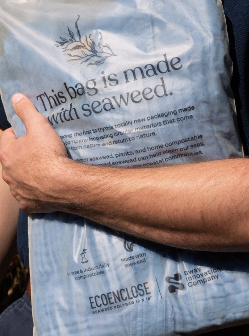 Alex Crane-Case Study Preview