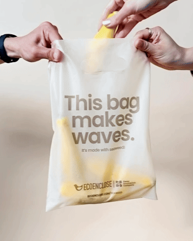 Die-Cut-Handle-Bag_Sway-Seaweed-Squash