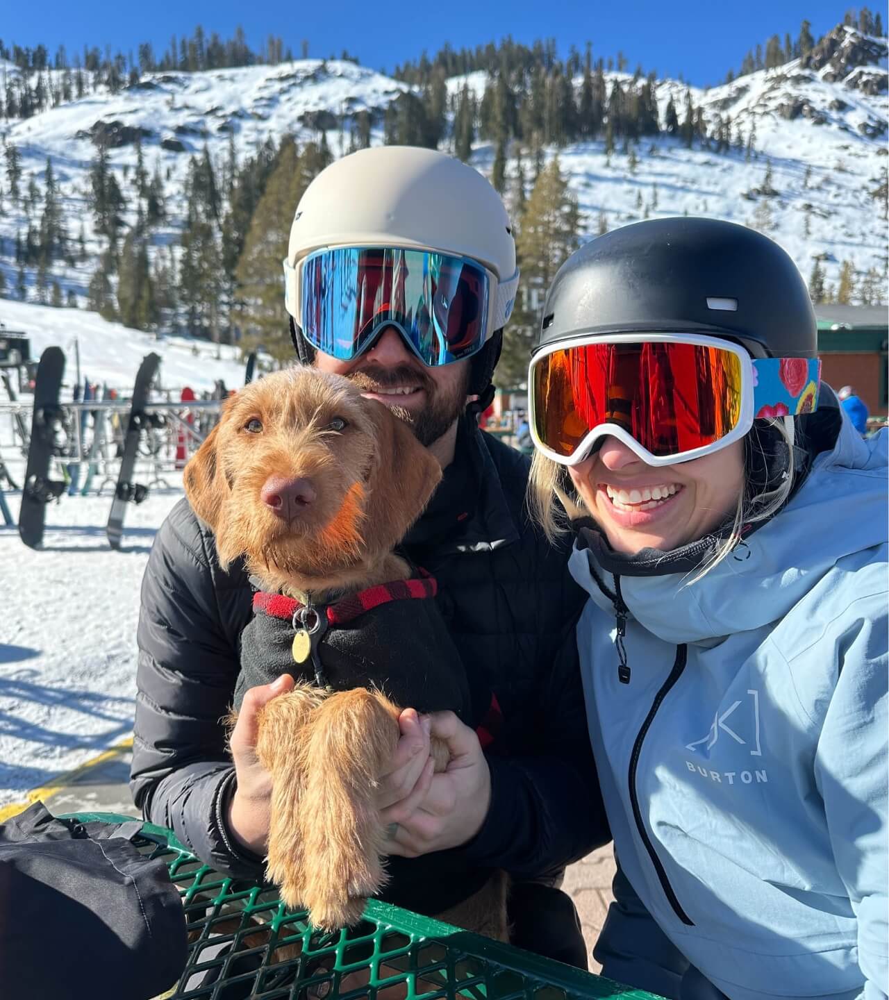 Sway Seaweed Burton Snowboard_3